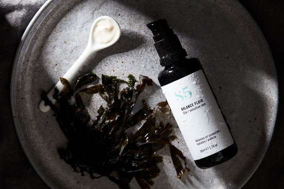 A bottle of skincare cleanser on a dark moody grey background with seaweed ingredient. Beauty product photography 