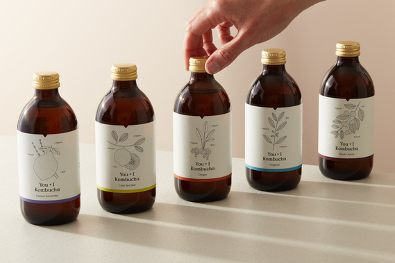 Bottles of kombucha in a row with daylight shadows on a neutral background