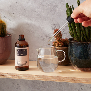 Houseplant feed being added to a water jug, on a shelf surrounded by houseplants