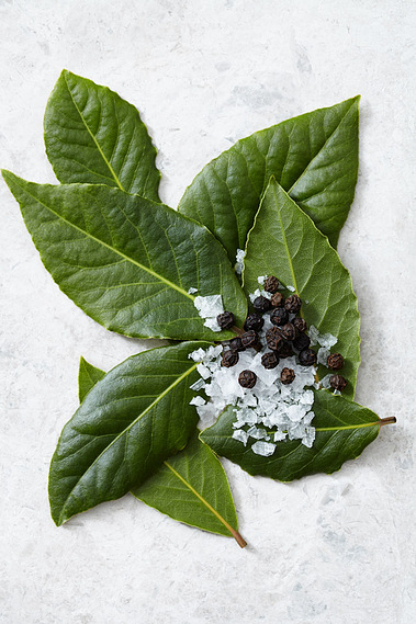 Fresh bay leaves with black pepper and course salt 