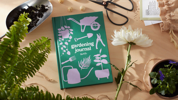 Stationery photography, a gardening journal on a birch kitchen tabletop with seeds and plants.