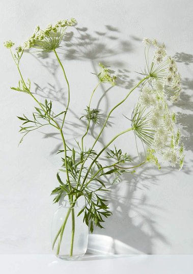 styled product photography for homeware flowers in vase