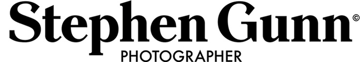 STEPHEN GUNN