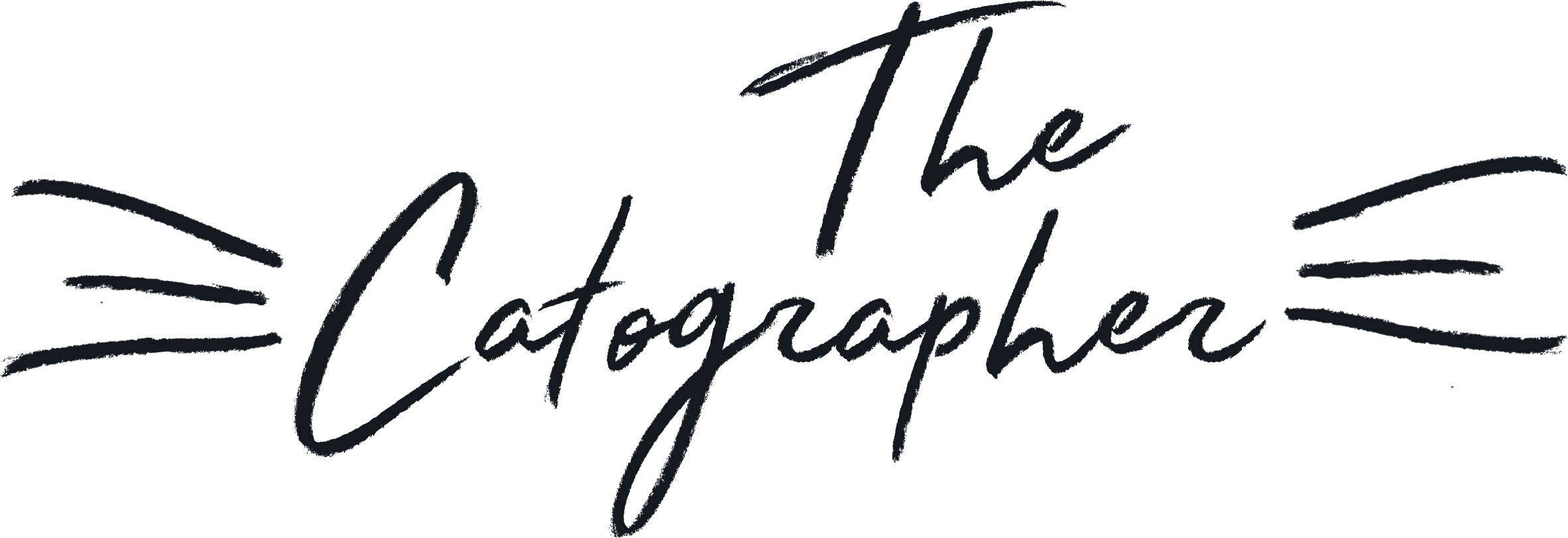 The Catographer - Cat Pet Photography