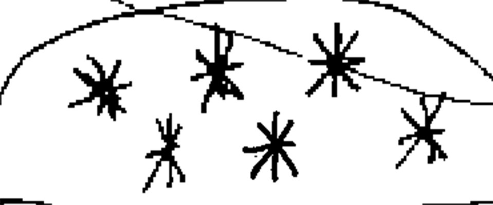 luca-ganz.com