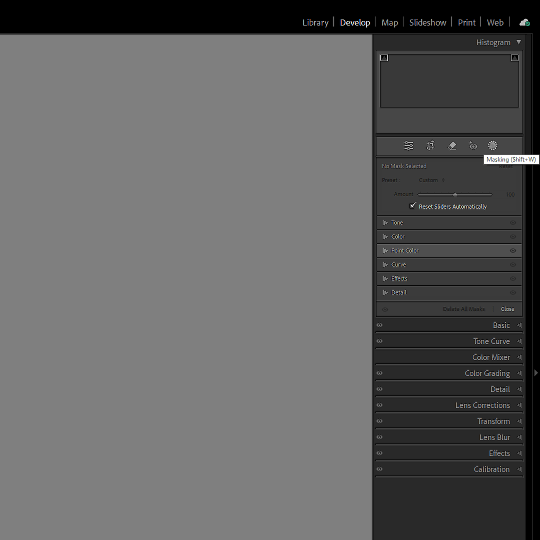 A screenshot of the develop module in Adobe Lightroom, showing the masking tool and its available adjustment options.