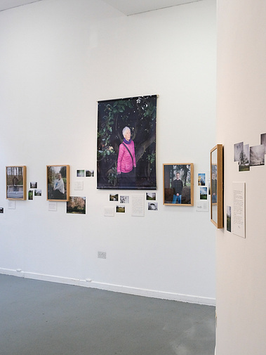 Green Spaces exhibited at Ikon Gallery