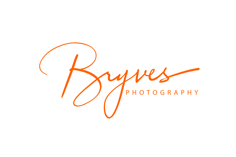 Bryves's Portfolio