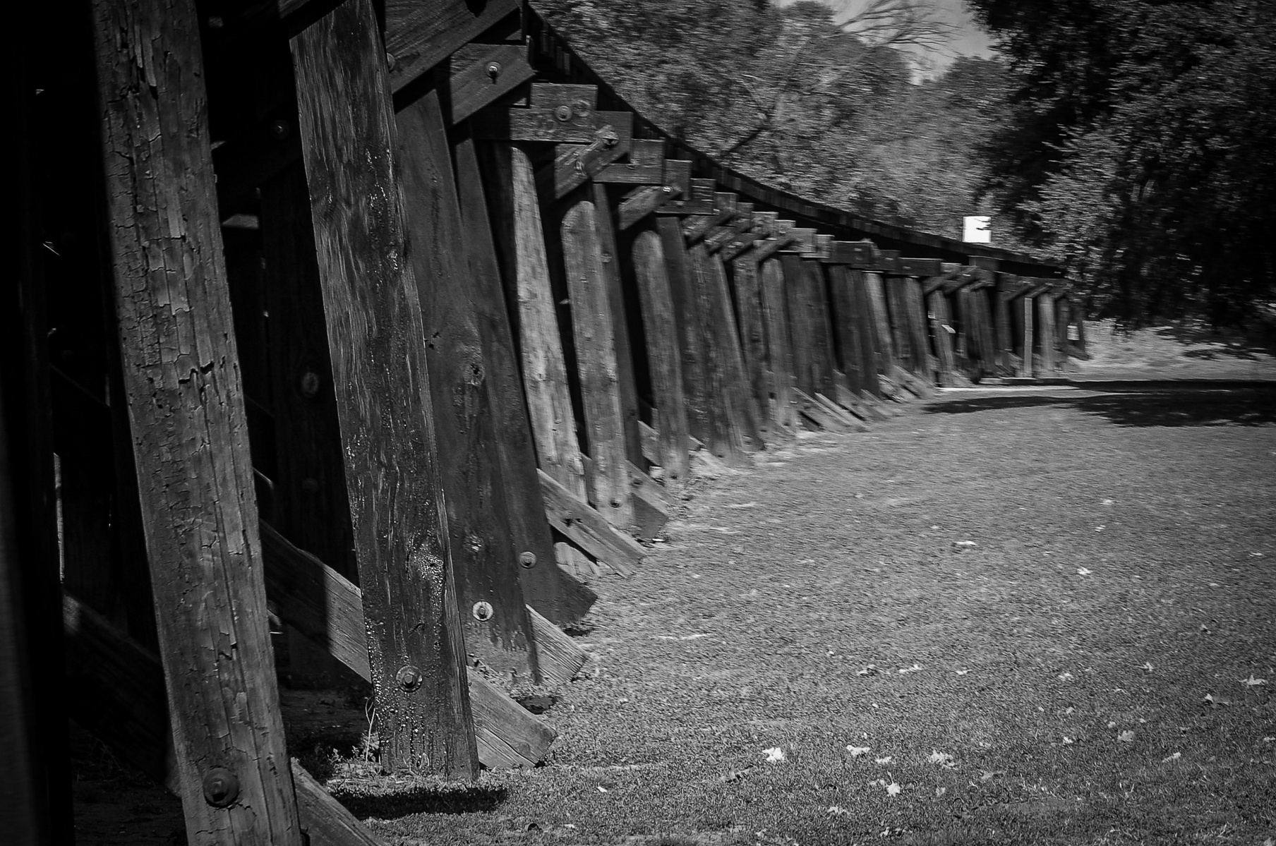 Time presses in slowly, tilting what once held weight and purpose. The wooden supports whisper stories of movement long since stilled, their shadows falling in rhythm with the forgotten