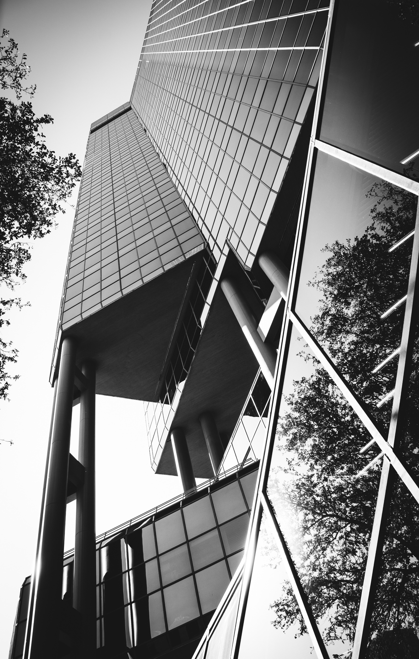 Steel and glass don’t just rise—they lean, catch light, reflect the sky in fragments. This is architecture in tension, modernism in prayer. Held together by angles sharp enough to draw blood.