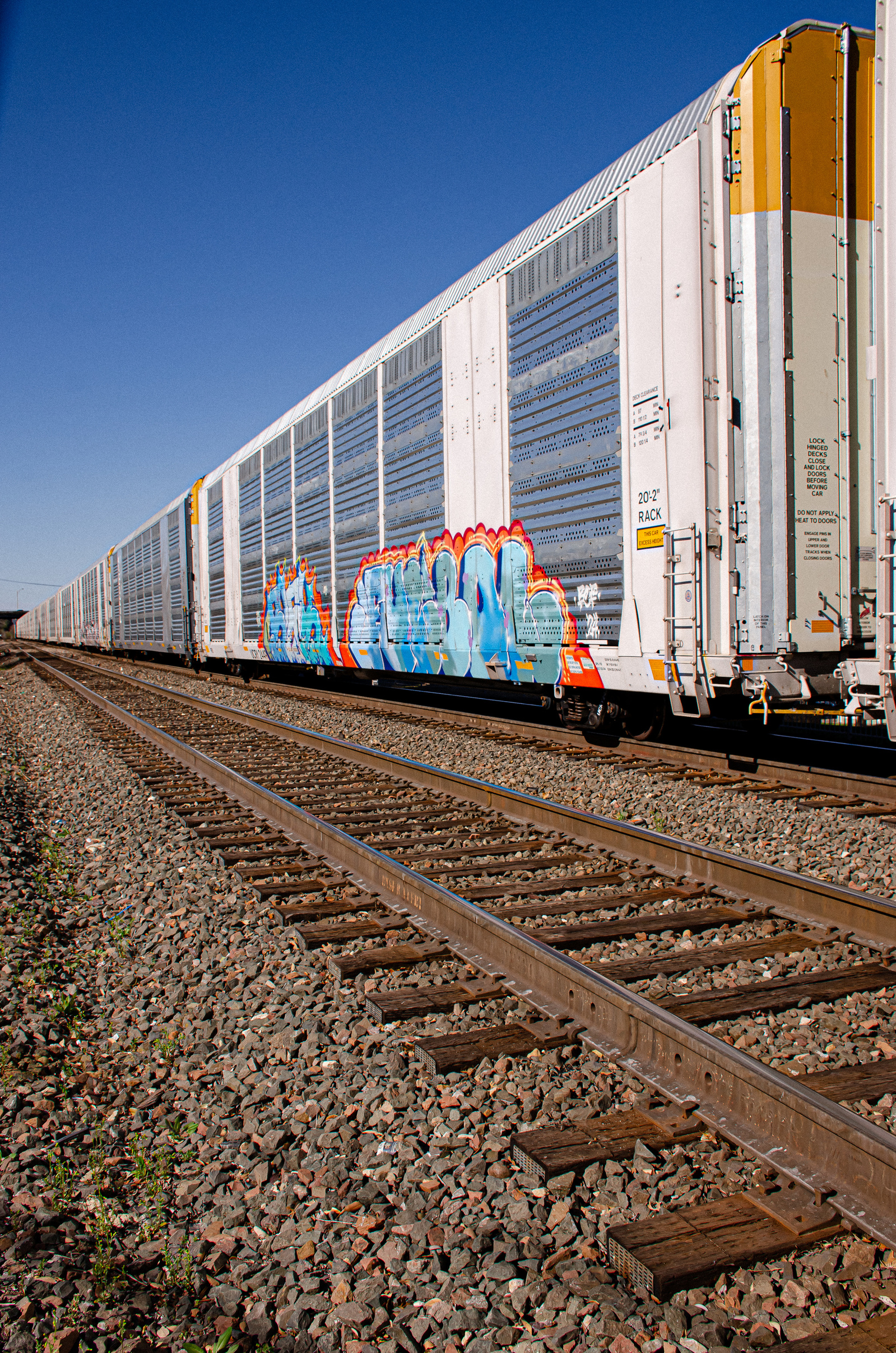 Graffiti winds across the length of a freight car like a forgotten shout. The bold color clashes with the still track, a rebellious pulse on a line that never stays still for long.