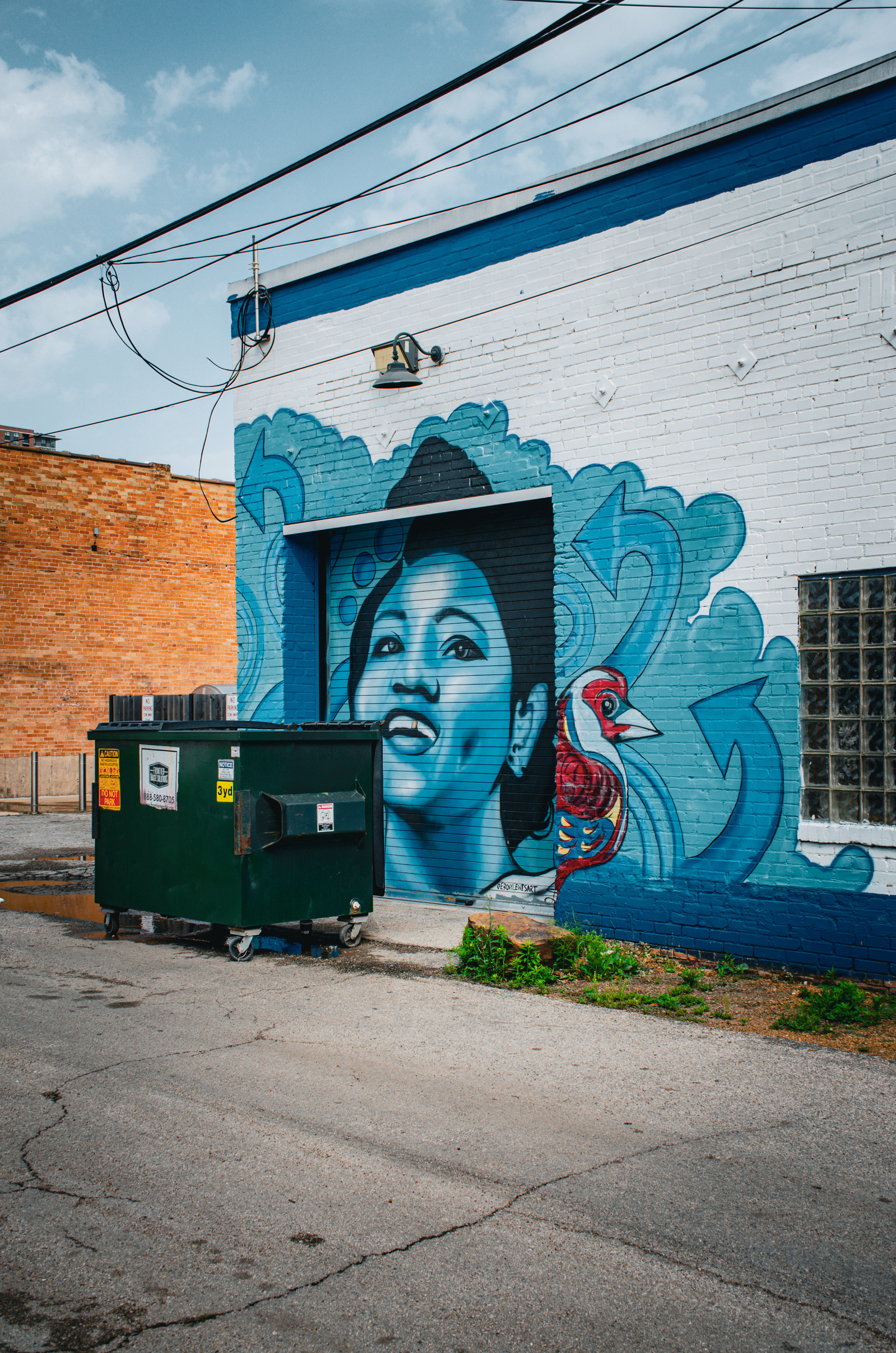 A soulful blue portrait emerges from the wall like a hymn, paired with a cardinal mid-flight. Together, they speak to heritage, resilience, and voices that carry through the static.