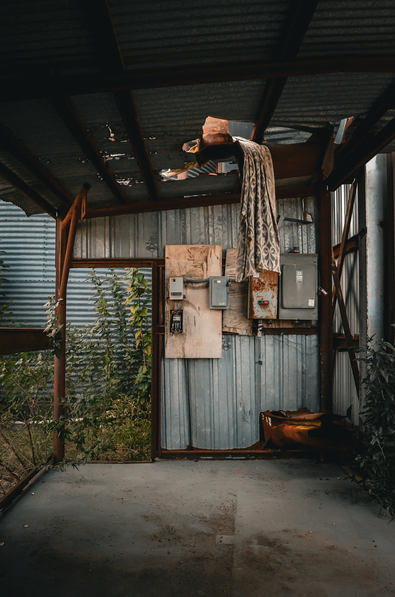 A forgotten corner, half-claimed by vines and weather—this image teeters between power and decay, the utility of what once was.