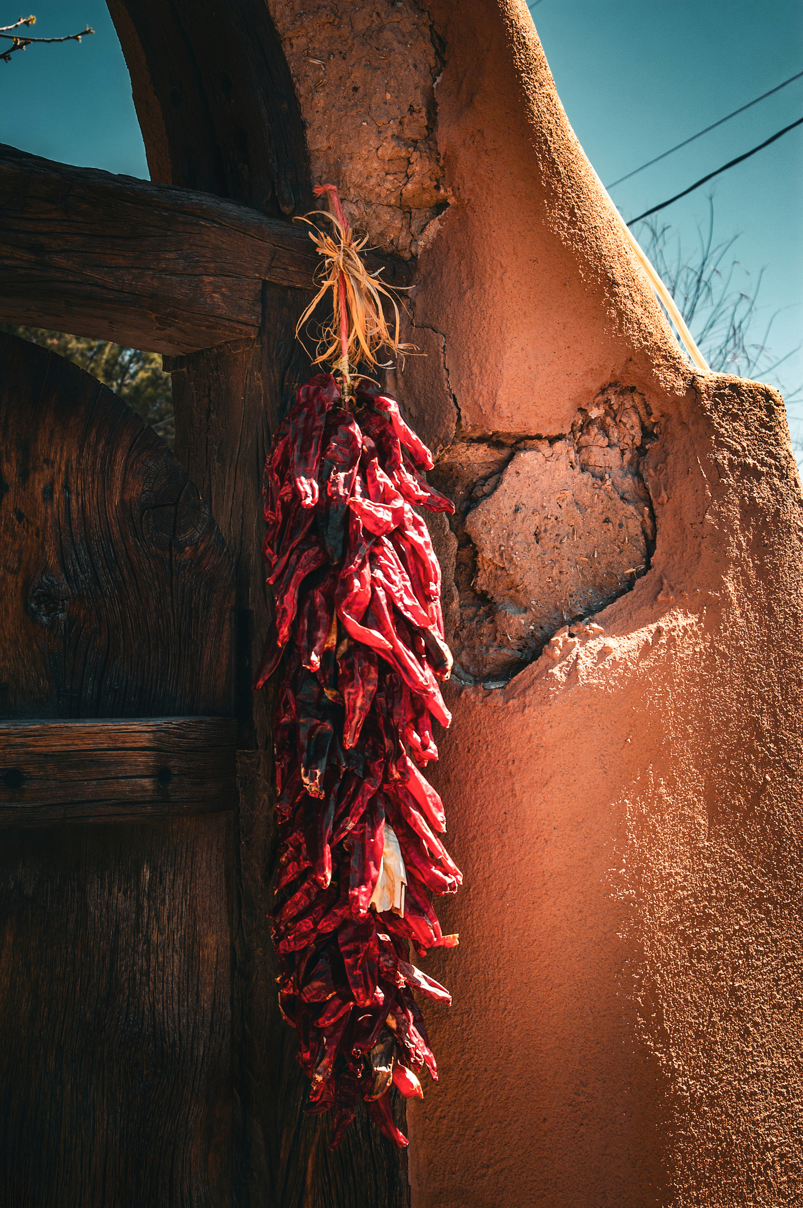 A strand of dried chilies clings to an adobe wall, its color deepened by sun and time. Weathered wood and cracked clay speak of years gone by—this is a portrait of preservation, of stories passed down in spice and dust.