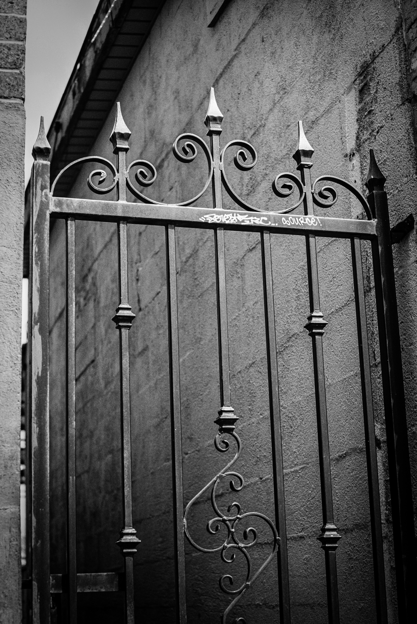 A gate not meant to open, ornamented not for welcome but for forgetting. The lines are deliberate, the flourish empty—an architecture of neglect. Here, beauty rusts in silence.