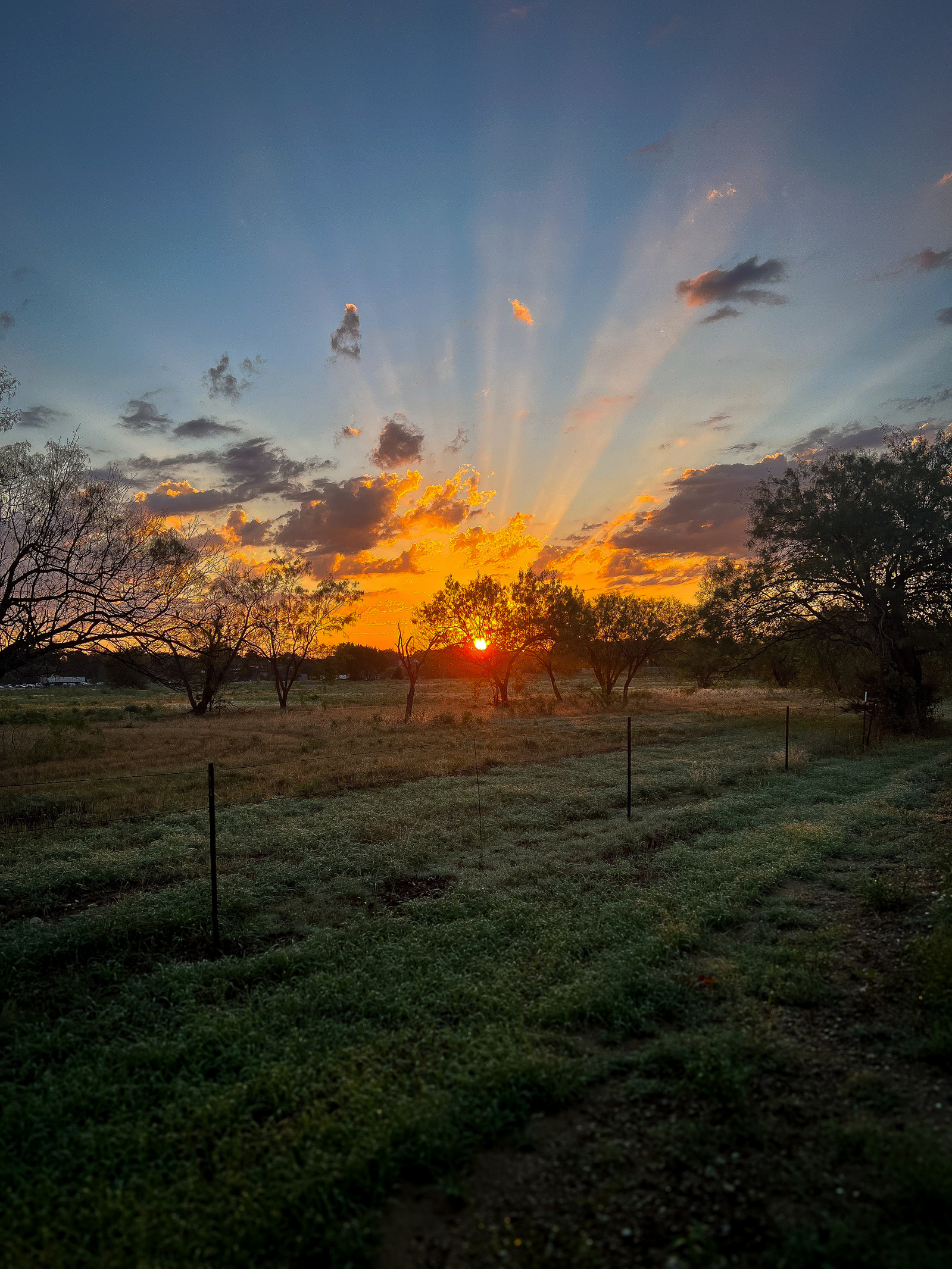 Crepuscular rays pierce through cloud formations, creating divine light that transforms an ordinary field into sacred space. The suns position among the trees creates natural starbursts, while fencing provides gentle geometric contrast.