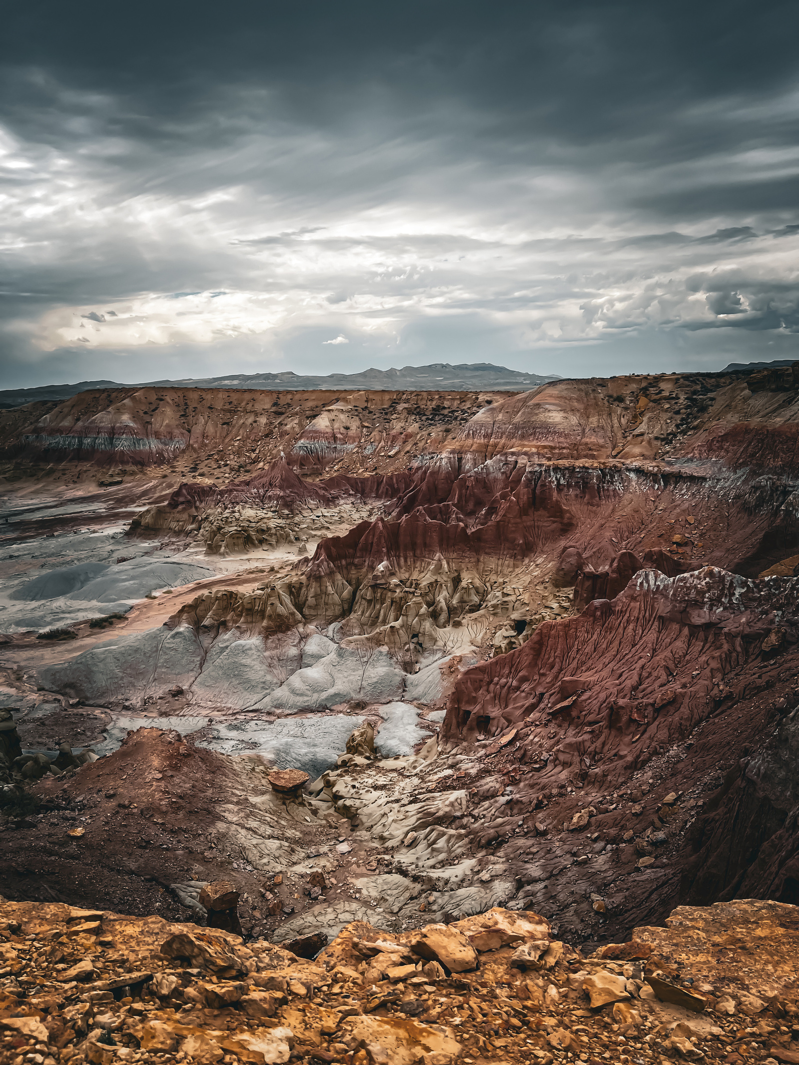 The ground tells its own story, stripped to sediment. It remembers everything — in color.