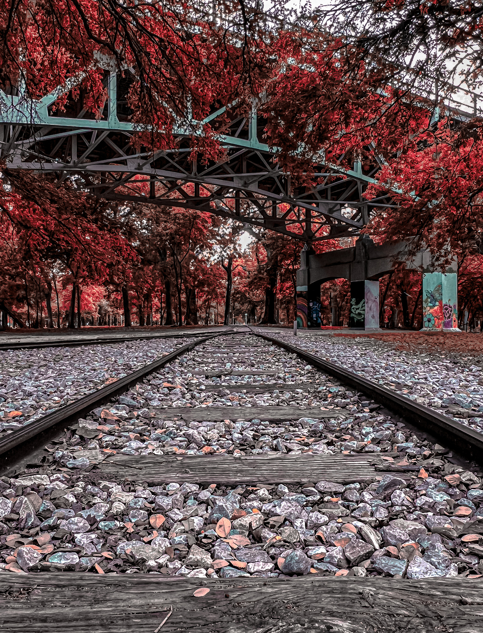 Fiery leaves and graffiti-streaked pillars frame a quiet track beneath an urban bridge. The season shifts around the rails—an almost surreal farewell to whatever just passed through.