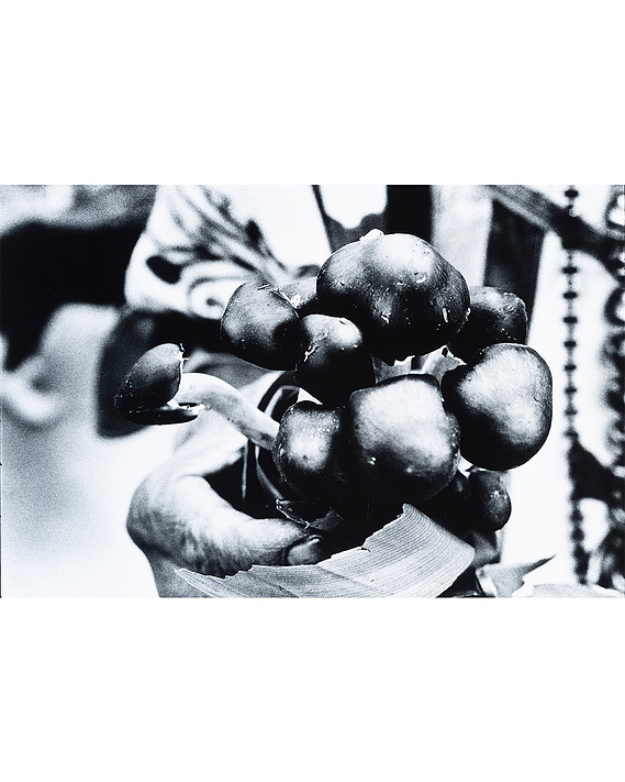 Maria Sabina  by Gusmano Cesaretti
Original Prints from 1970's
Shop Vintage Art Photographs.
Los Angeles Art Gallery 
